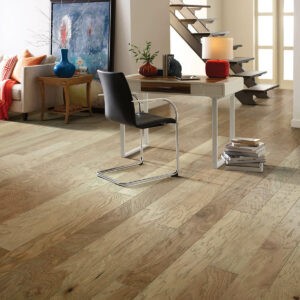 Hardwood flooring | CarpetsPlus COLORTILE