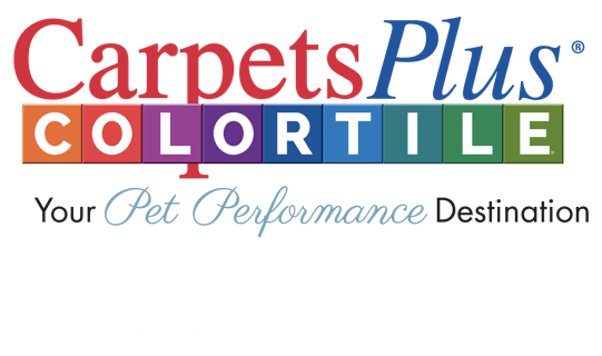 Carpetsplus colortile your pet performance destination | CarpetsPlus COLORTILE